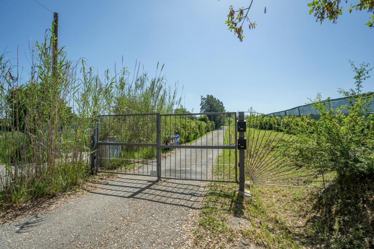 Podere Belvedere 리보르노 외부 사진